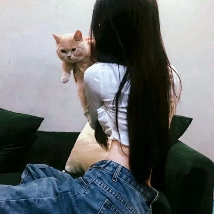 狄仁杰之通天谜案